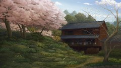 Landscapes grass cherry blossoms scenic
