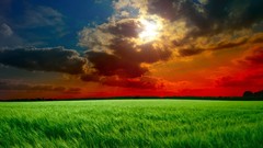 Landscapes grass clouds