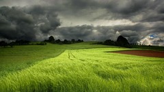 Landscapes grass clouds fields