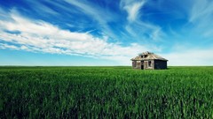 Landscapes grass clouds hut crops