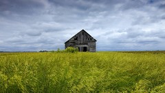 Landscapes grass clouds meadows barn abandoned houses fields 
