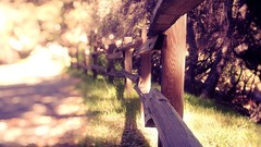 Landscapes grass fences bokeh sunlight