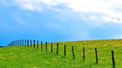 Landscapes grass fields