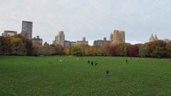 Landscapes grass Manhattan USA Central Park cityscapes new york 
