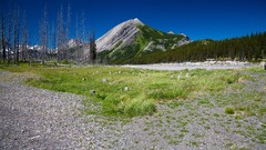 Landscapes grass Mountains