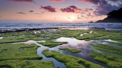 Landscapes grass rivers skyscapes