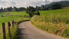 Landscapes grass roads