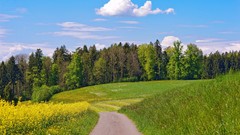 Landscapes grass roads