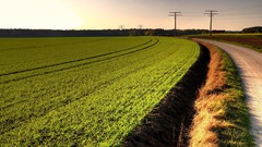 Landscapes grass roads agriculture crass