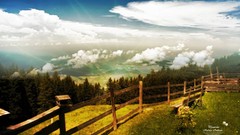 Landscapes grass skyscapes