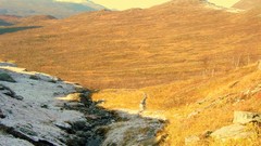 Landscapes grass snow streams