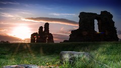 Landscapes grass sun