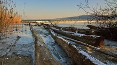 Landscapes grass switzerland Europe Wood