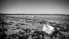 Landscapes grayscale