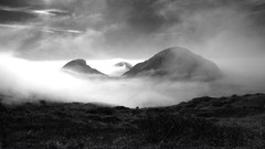 Landscapes grayscale