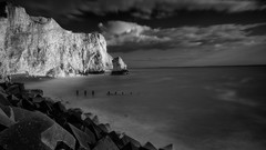 Landscapes grayscale