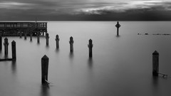 Landscapes grayscale