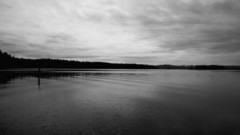Landscapes grayscale monochrome