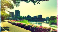 Landscapes Green cityscapes