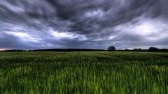 Landscapes Green germany