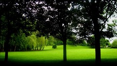 Landscapes Green Parks