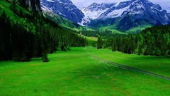 Landscapes Green switzerland