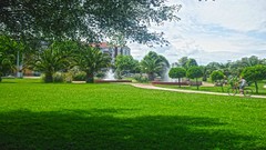 Landscapes Green Turkey