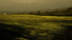 Landscapes happy grass fields