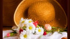 Landscapes HDR Photography