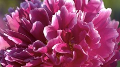 Landscapes HDR Photography