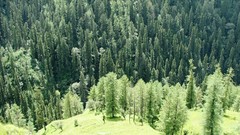 Landscapes HDR Photography