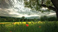 Landscapes HDR Photography