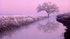 Landscapes HDR Photography