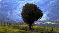 Landscapes HDR Photography