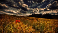 Landscapes HDR Photography