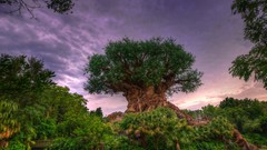 Landscapes HDR Photography