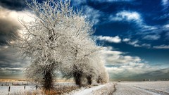 Landscapes HDR Photography