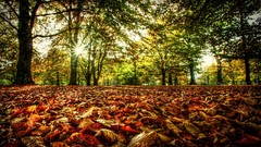 Landscapes HDR Photography