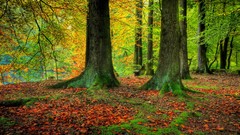 Landscapes HDR Photography