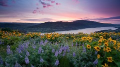 Landscapes HDR Photography