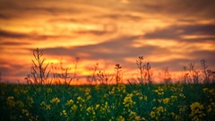 Landscapes HDR Photography