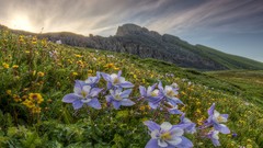 Landscapes HDR Photography