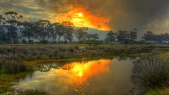 Landscapes HDR Photography swamp