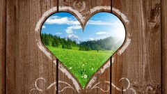 Landscapes Hearts wood texture