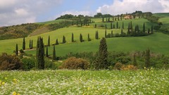 Landscapes hills Italy Tuscany toscana Pienza siena 