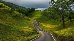 Landscapes hills roads hillside