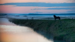 Landscapes Horses