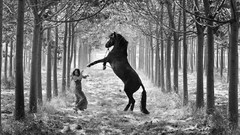 Landscapes Horses girls with horses