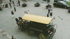 Landscapes Horses sweden cities stockholm