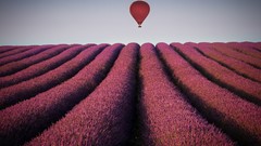 Landscapes hot air balloons